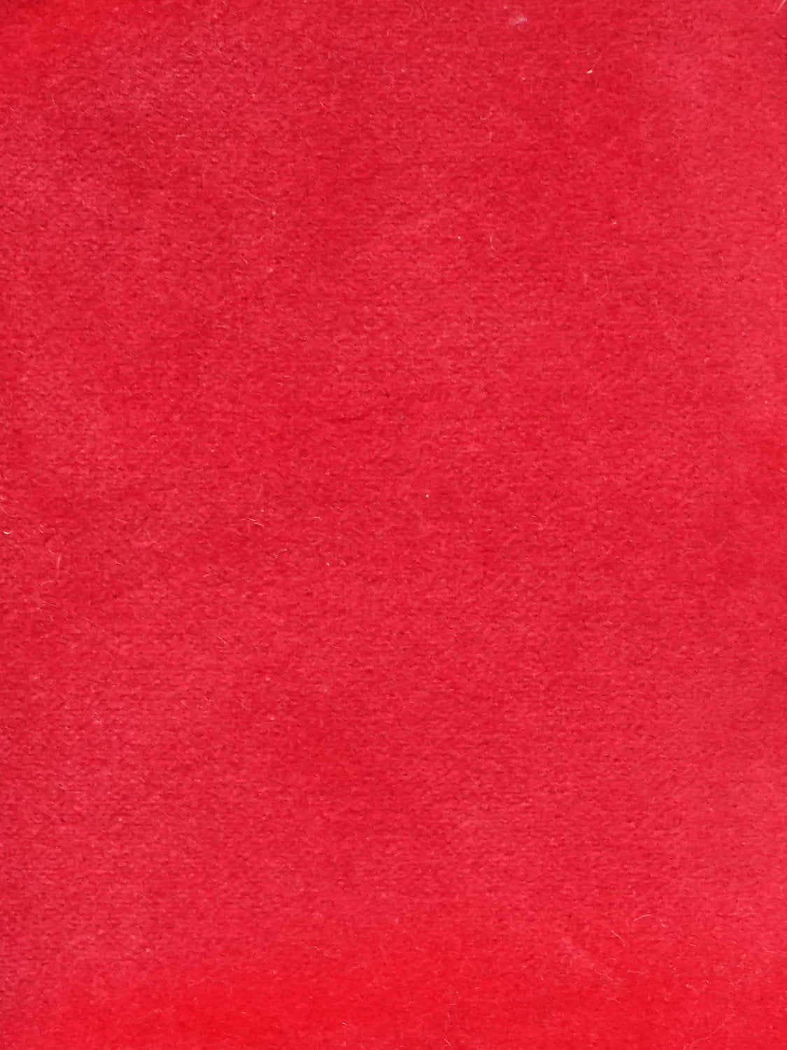 Cosmos - Flamant - Scalamandre Fabric