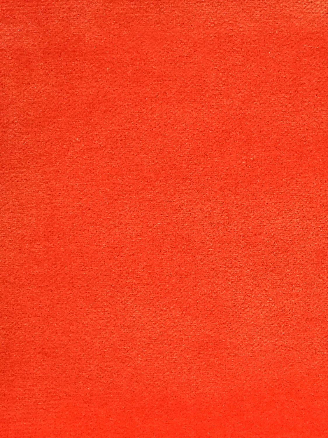 Cosmos - Capucine - Scalamandre Fabric
