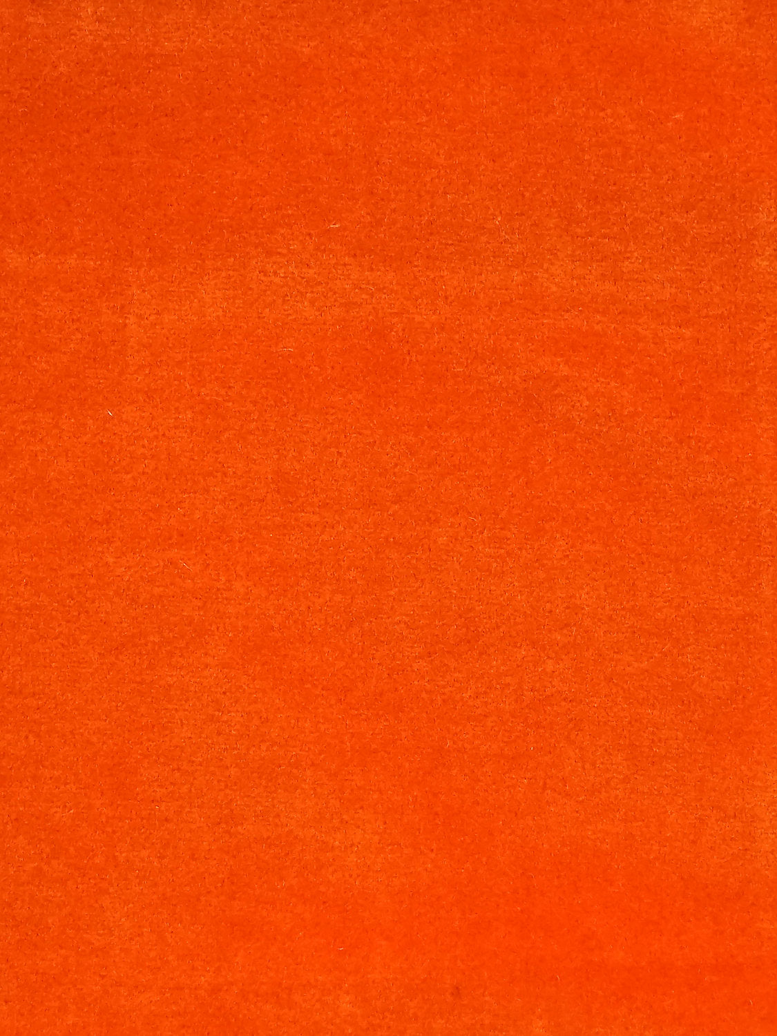 Cosmos - Abricot - Scalamandre Fabric