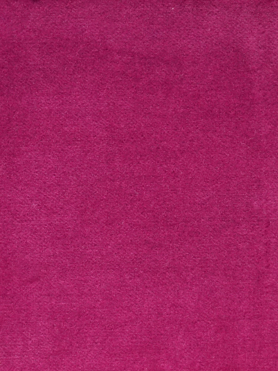 Cosmos - Tyrien - Scalamandre Fabric