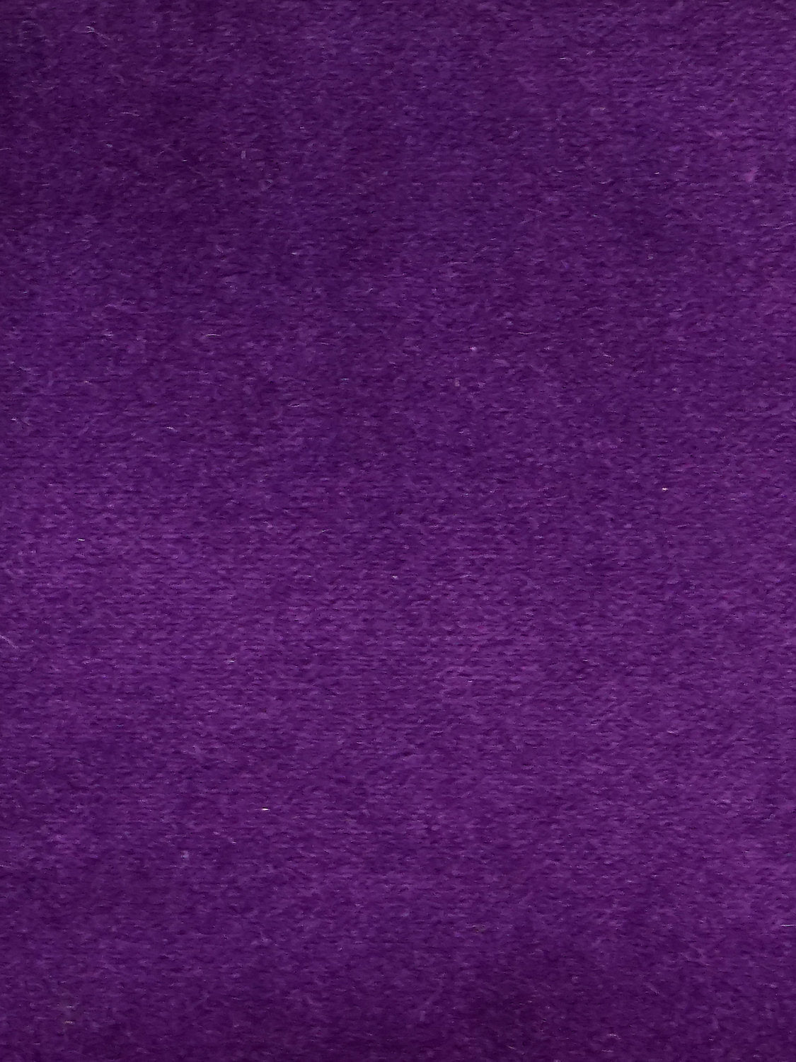 Cosmos - Violet - Scalamandre Fabric