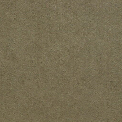 Alcantara - Saule - Scalamandre Fabric