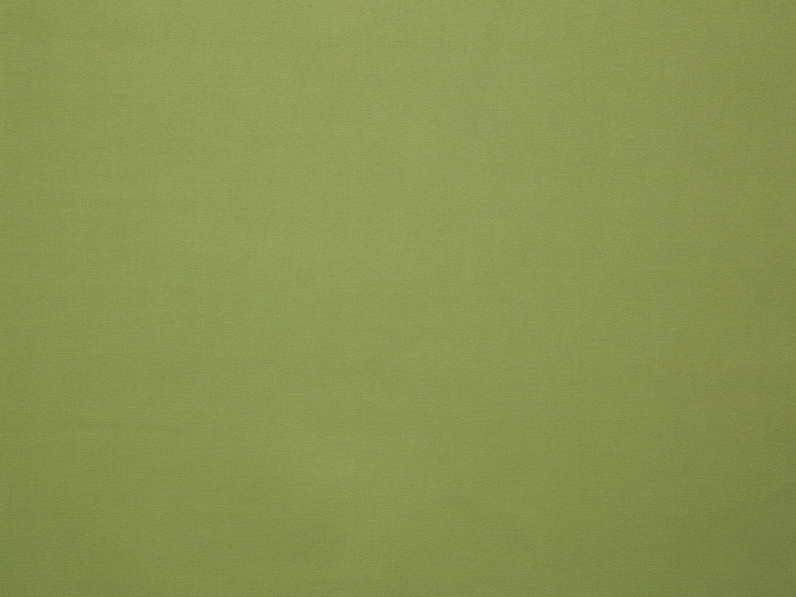 Toucan - Lime - Scalamandre Fabric