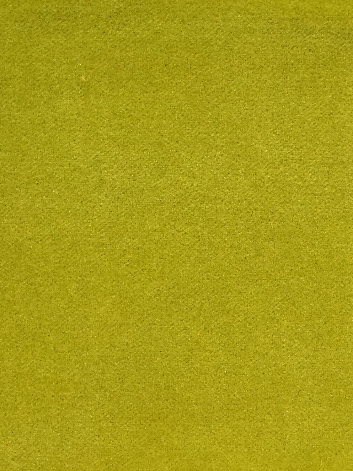 Cosmos - Anis - Scalamandre Fabric