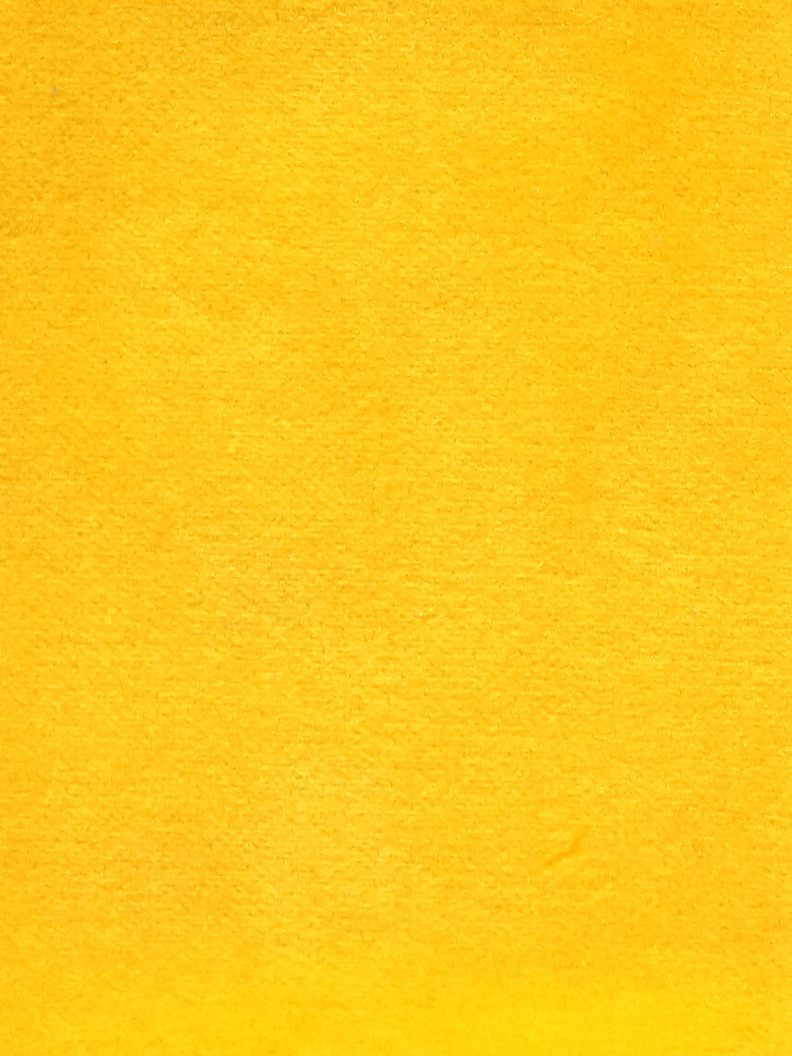 Cosmos - Colza - Scalamandre Fabric