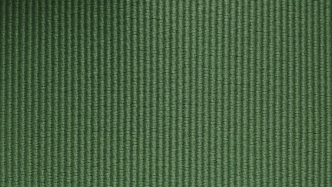 Vizir - Foret