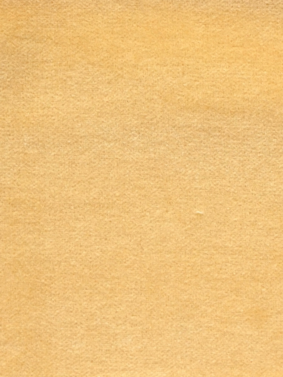 Cosmos - Ble - Scalamandre Fabric