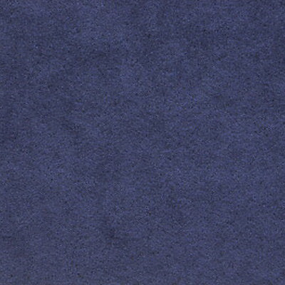 Alcantara - Encre - Scalamandre Fabric