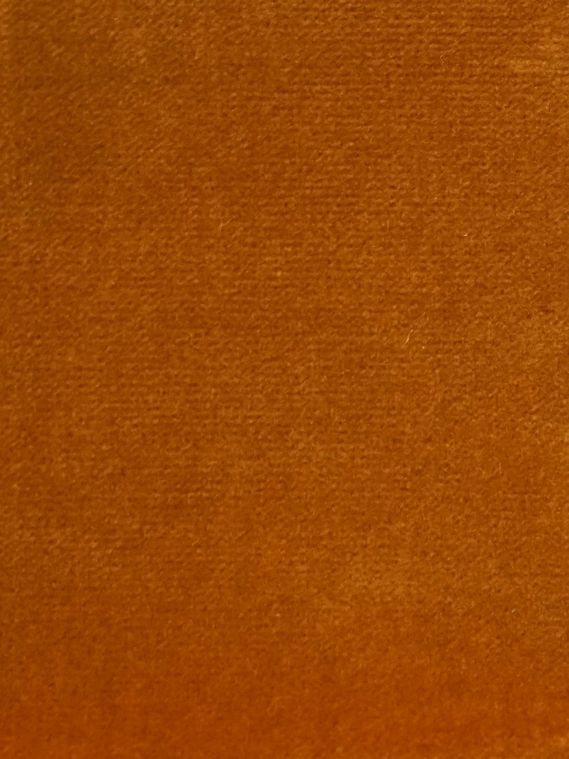 Cosmos - Ambre - Scalamandre Fabric