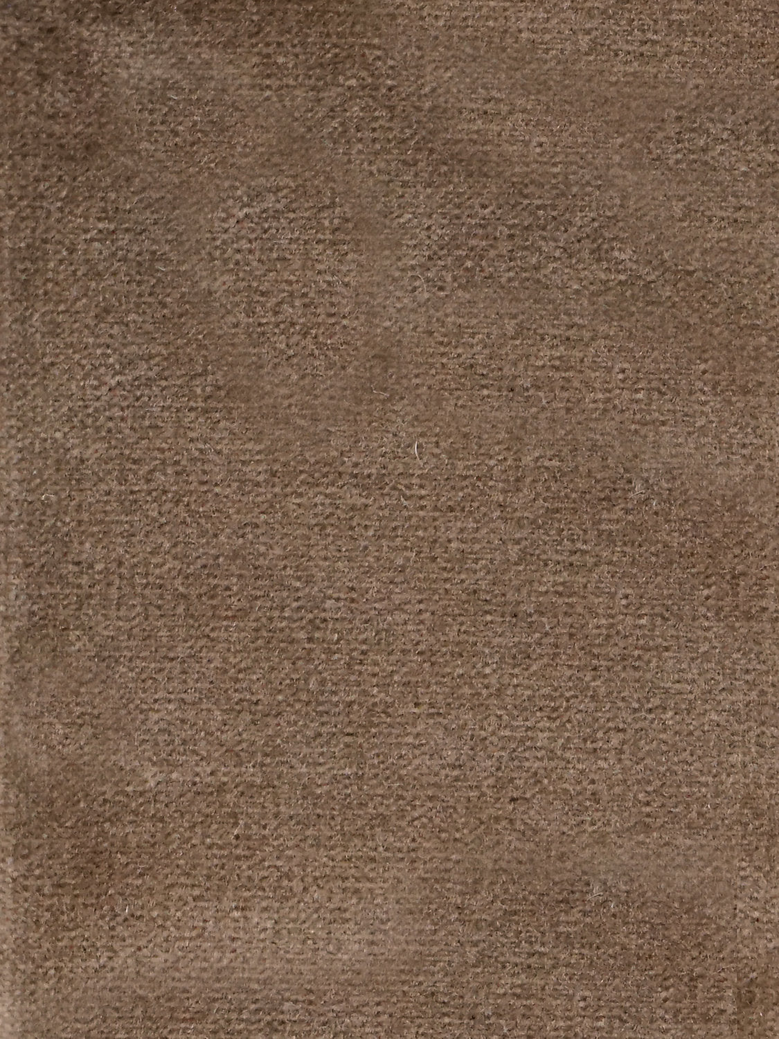 Cosmos - Pralin - Scalamandre Fabric