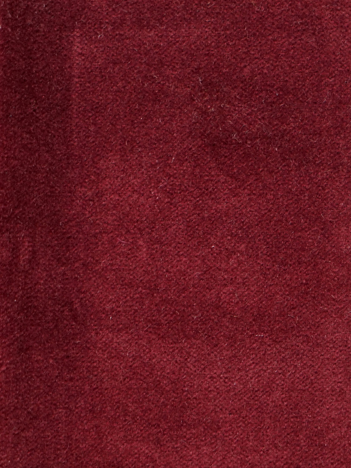 Cosmos - Grenat - Scalamandre Fabric