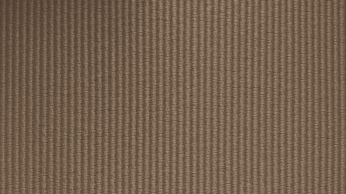 Vizir - Noisette - Scalamandre Fabric