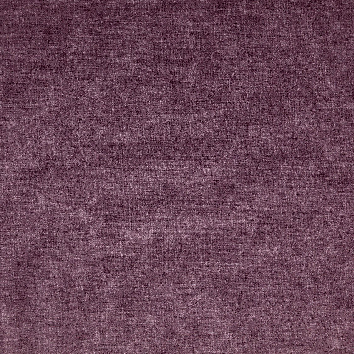 Smart - Amethyste