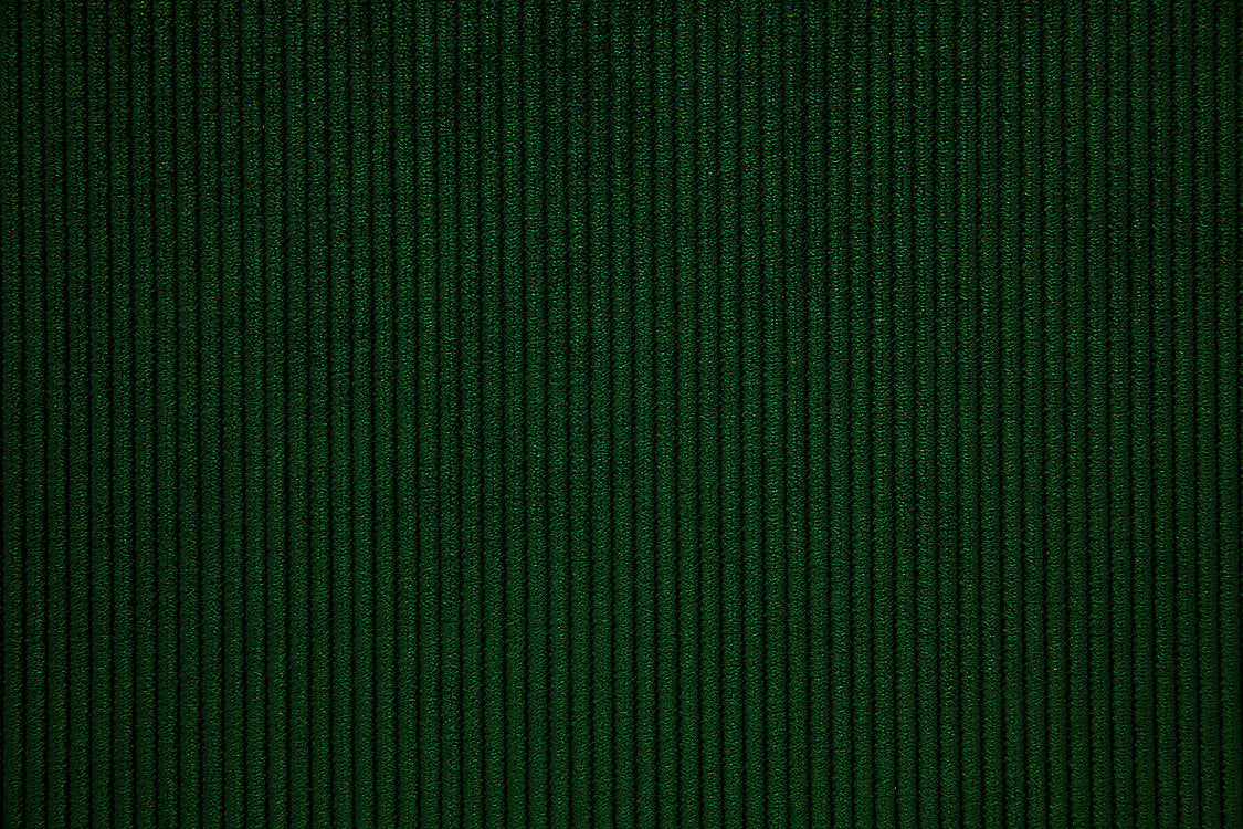 Riga M1 - Sapin - Scalamandre Fabric