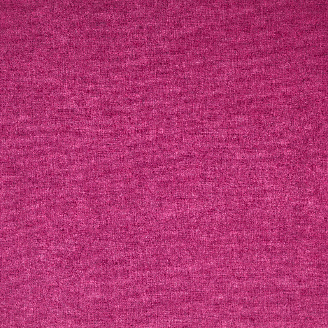 Smart - Pivoine