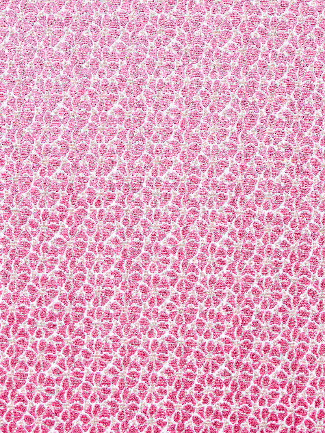 Petal Velvet - Pinks