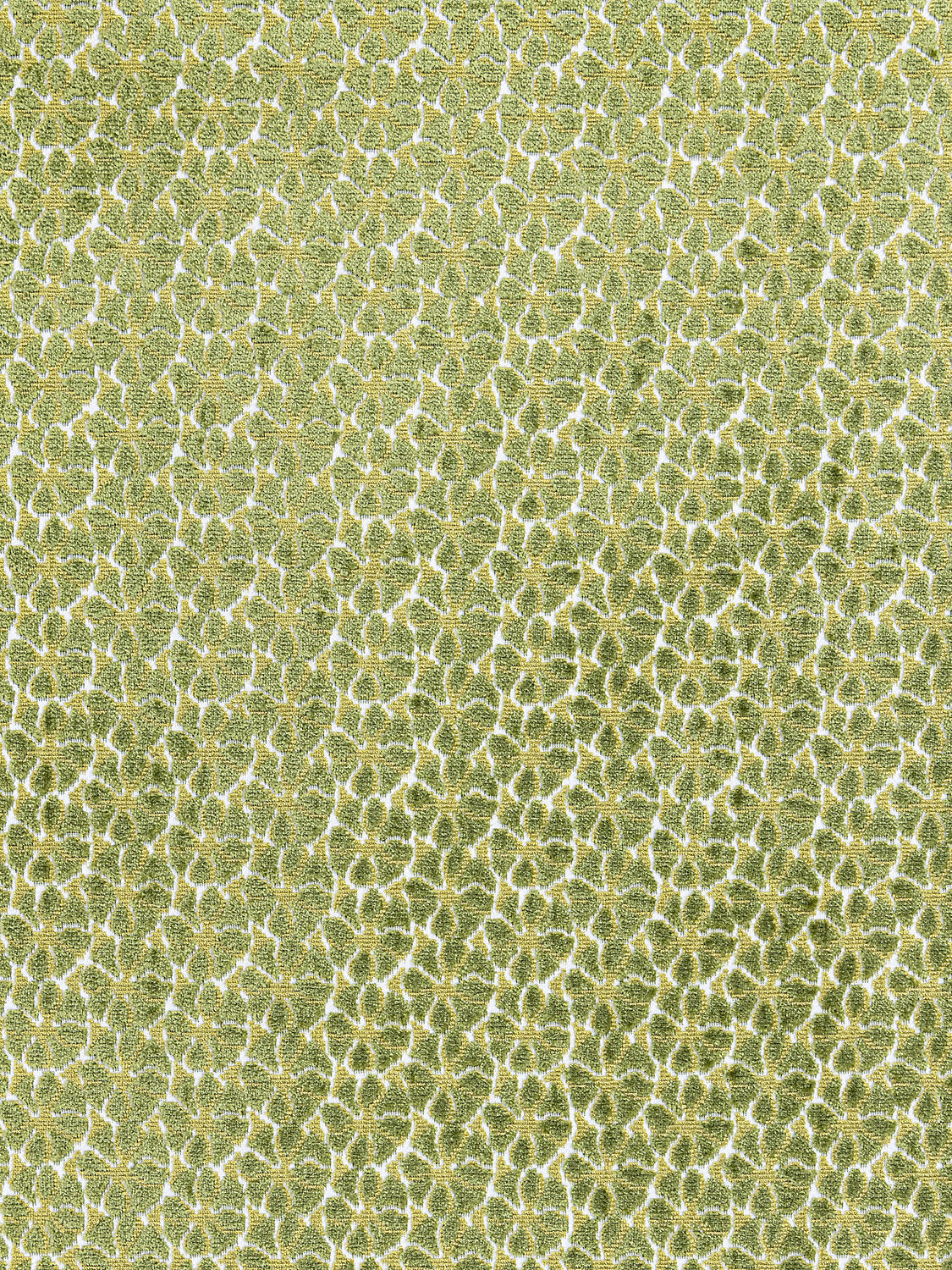 Petal Velvet - Leaf