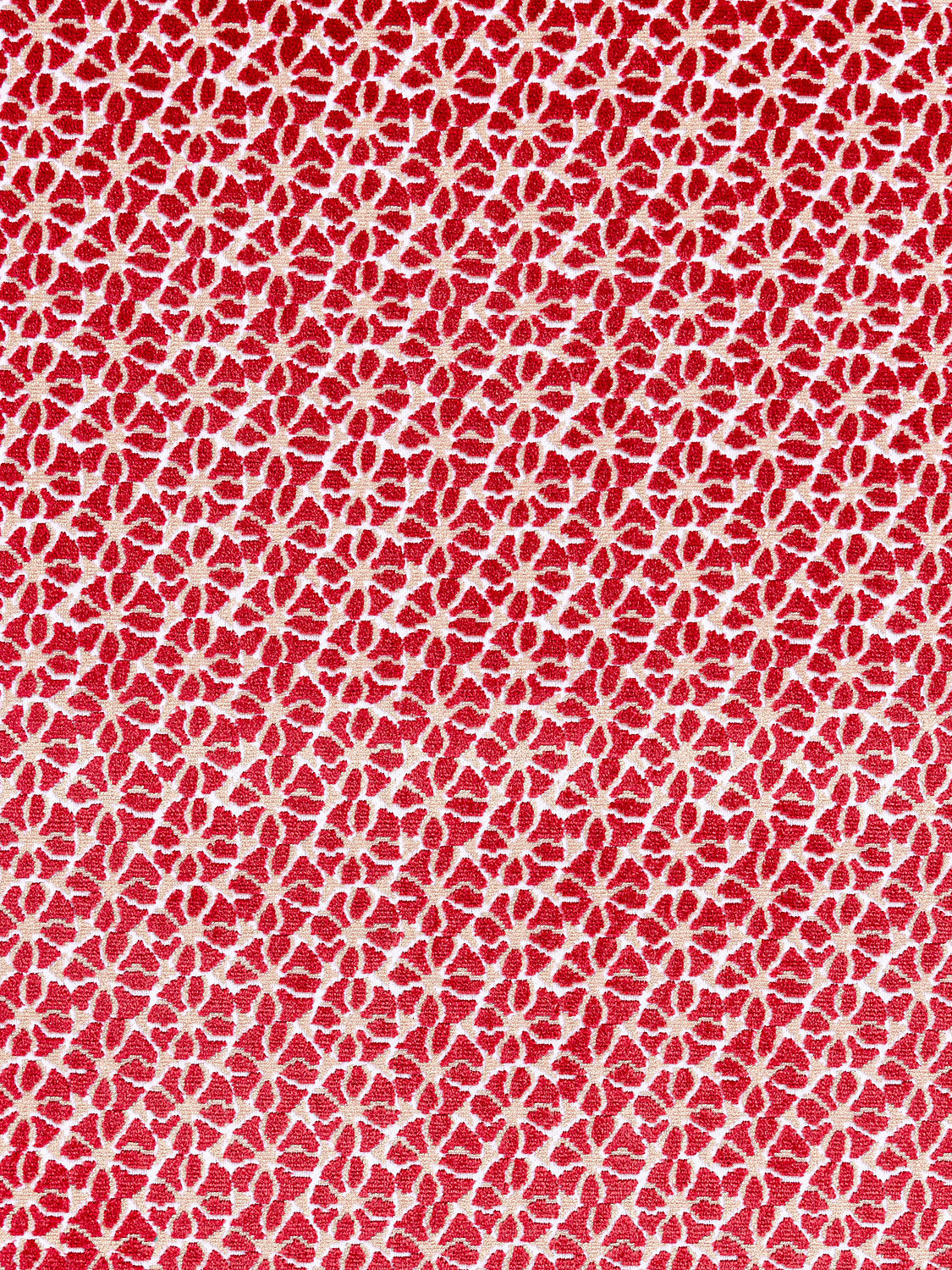 Petal Velvet - Red - Scalamandre Fabric