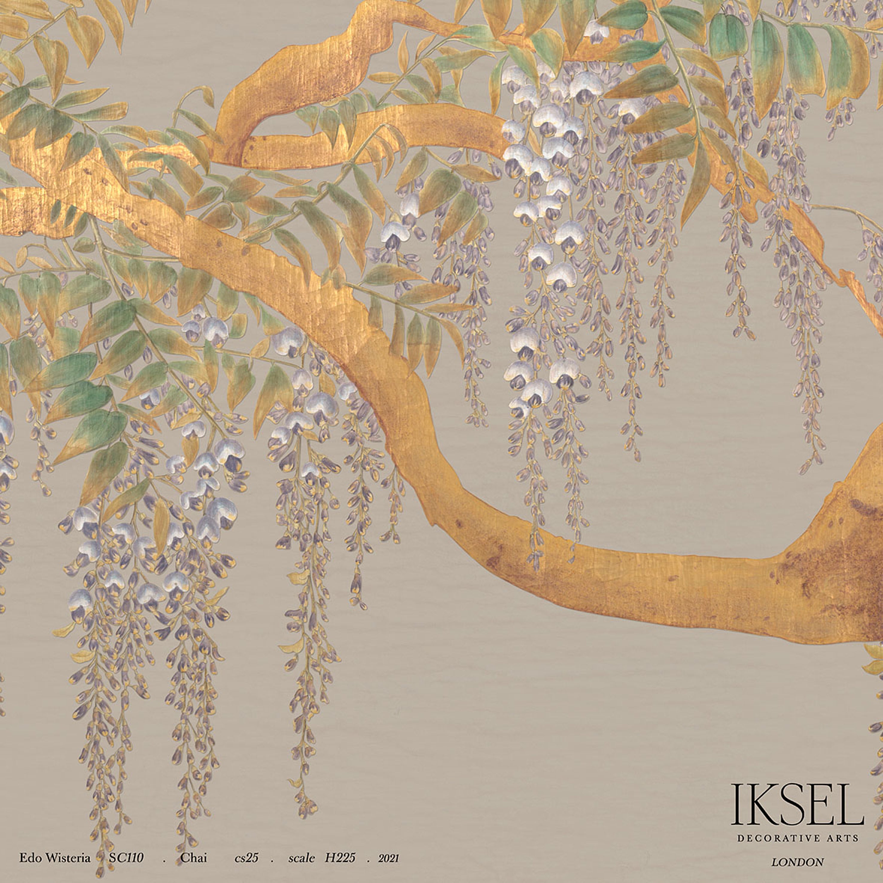 EDO-WISTERIA-CHAI-SCHUMACHER-IK2607