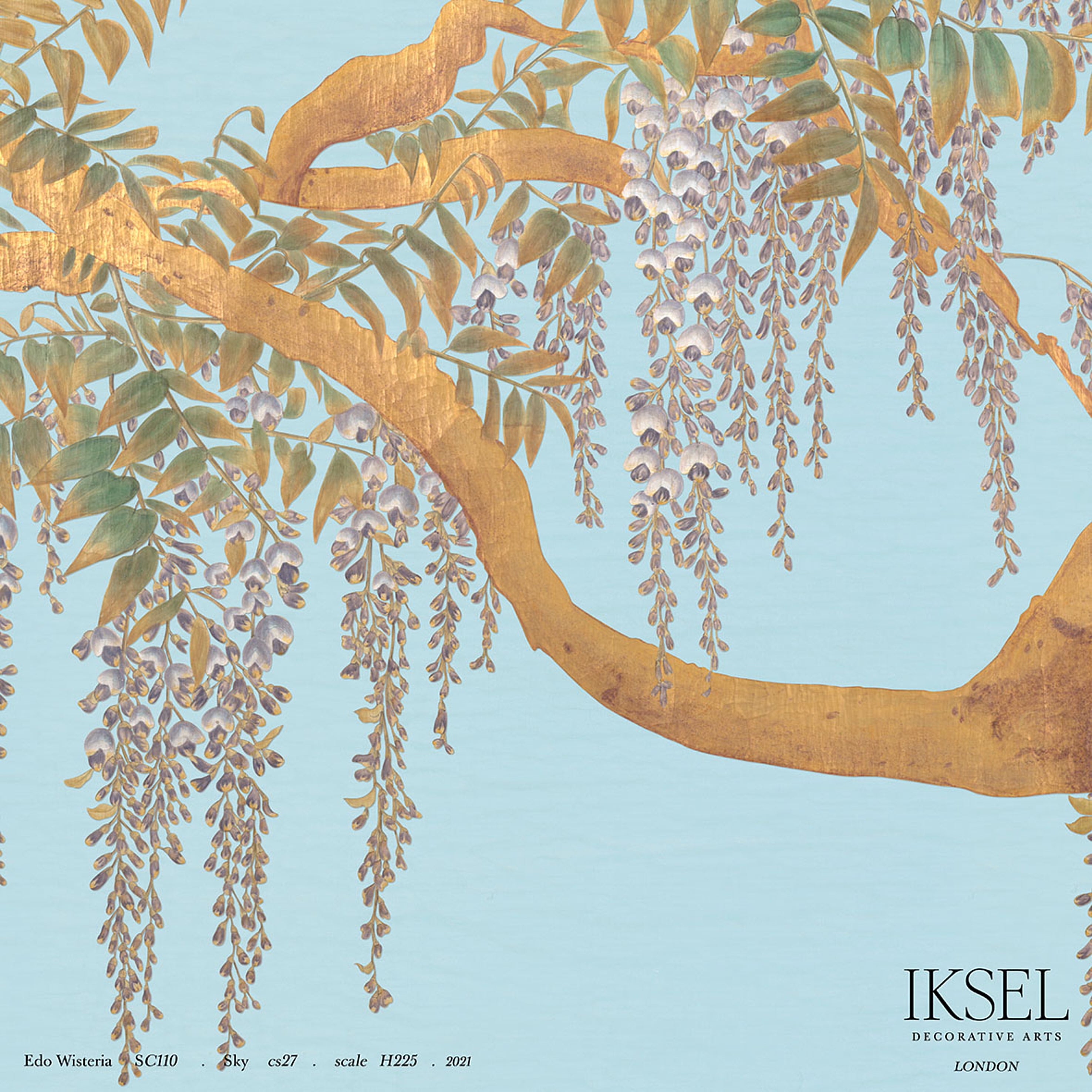 EDO-WISTERIA-SKY-SCHUMACHER-IK2608