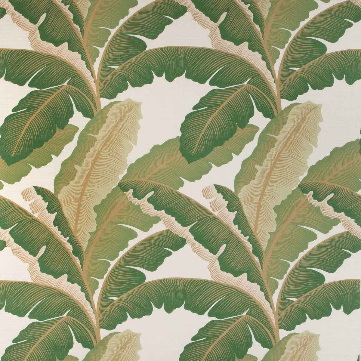 Islaroyal4300 Isla Royal Golden Palm Kravet Couture Fabric - KRAVET COUTURE Fabric