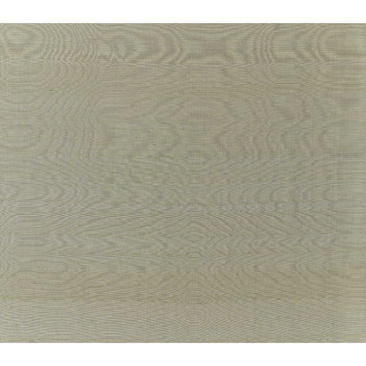 Silk Twist - Platinum - BRUNSCHWIG & FILS Fabric