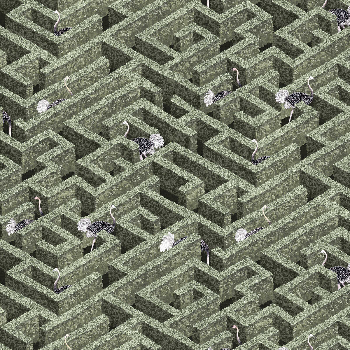 Labyrinth With Ostriches - 01 - KRAVET COUTURE Wallpaper