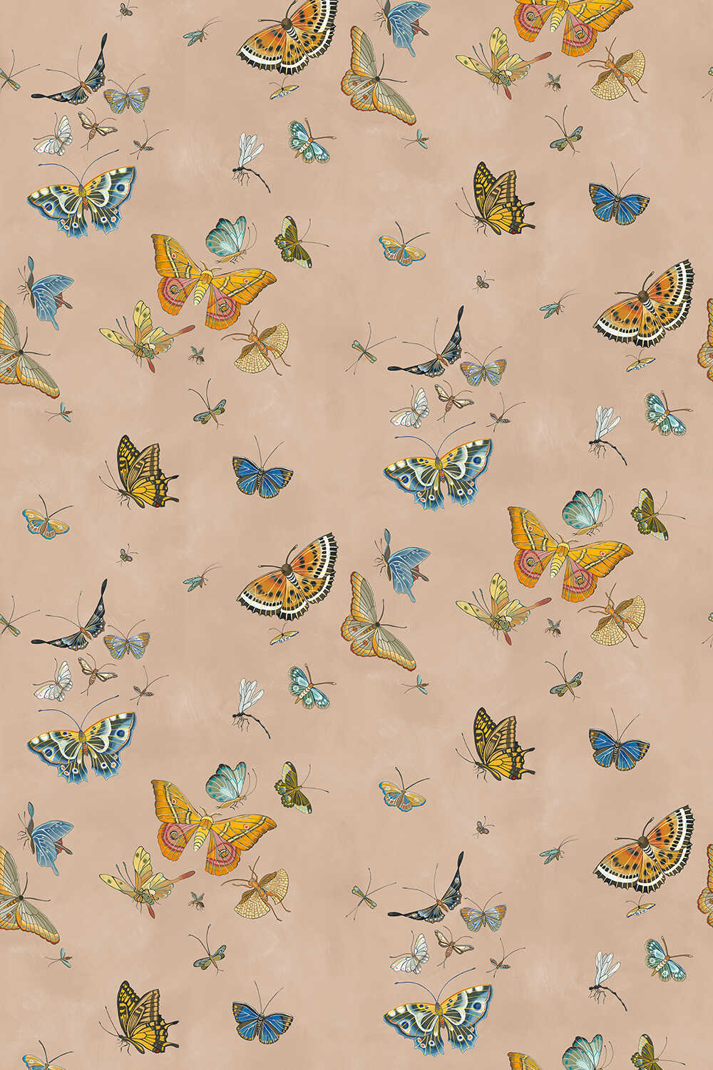 Butterflies - 01 - KRAVET COUTURE Wallpaper