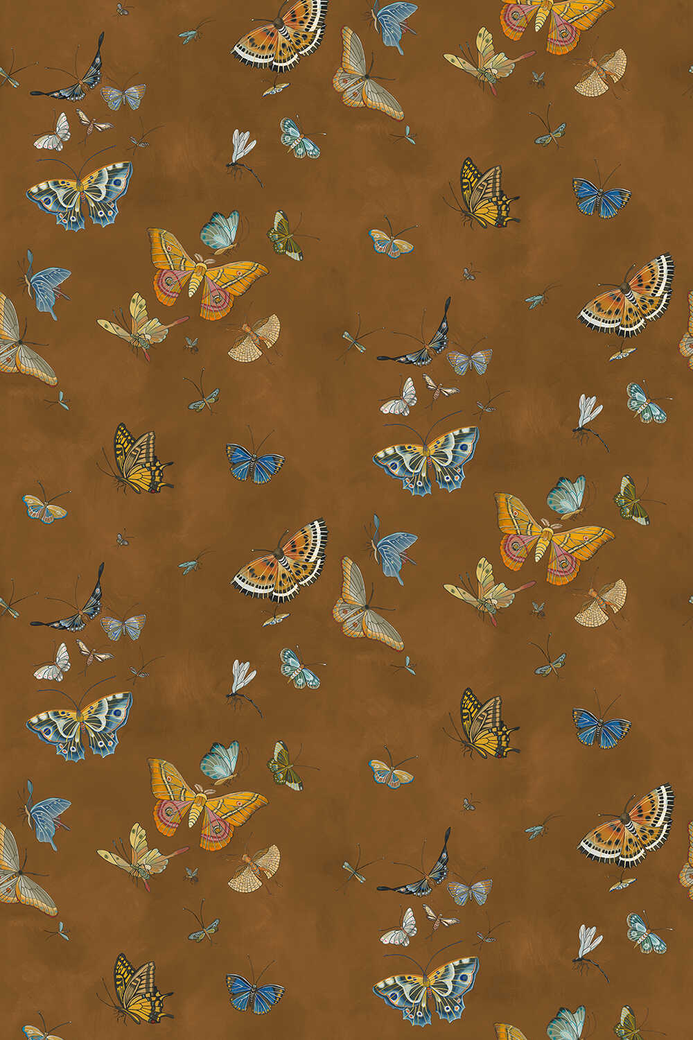 Butterflies - 11 - KRAVET COUTURE Wallpaper