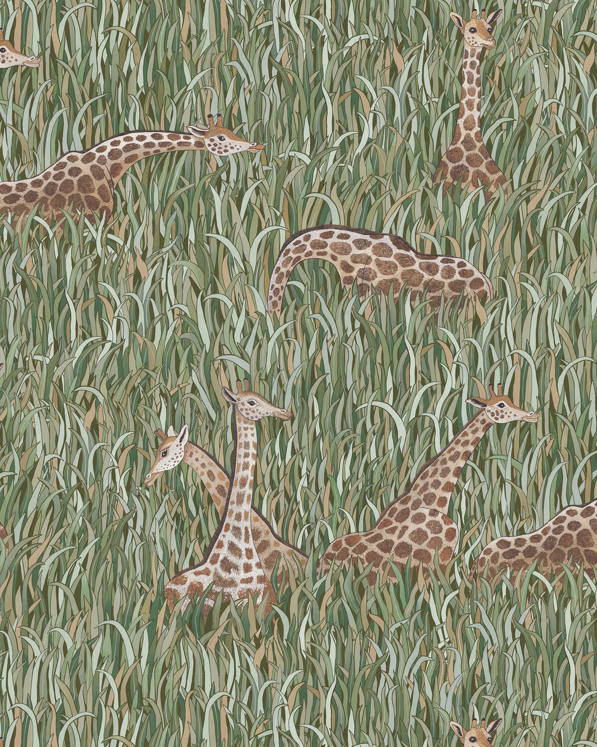 Giraffes - 01 - KRAVET COUTURE Wallpaper