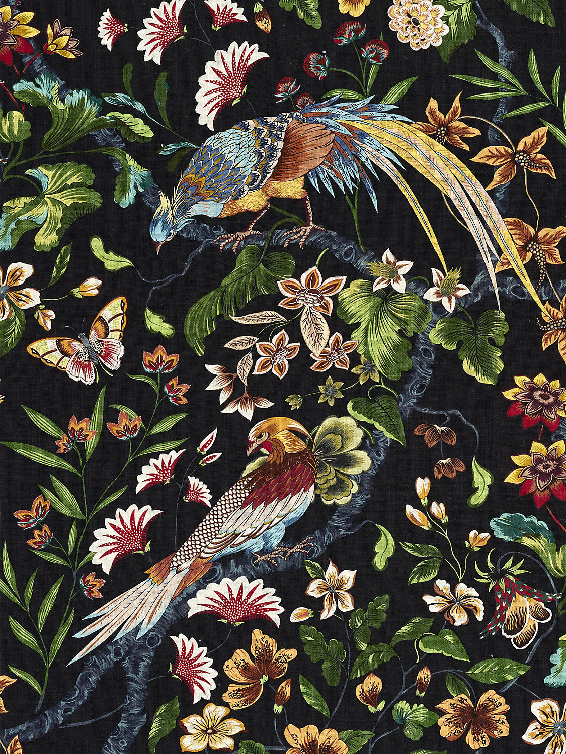 Botany Bay - Black Ruby - Scalamandre Fabric