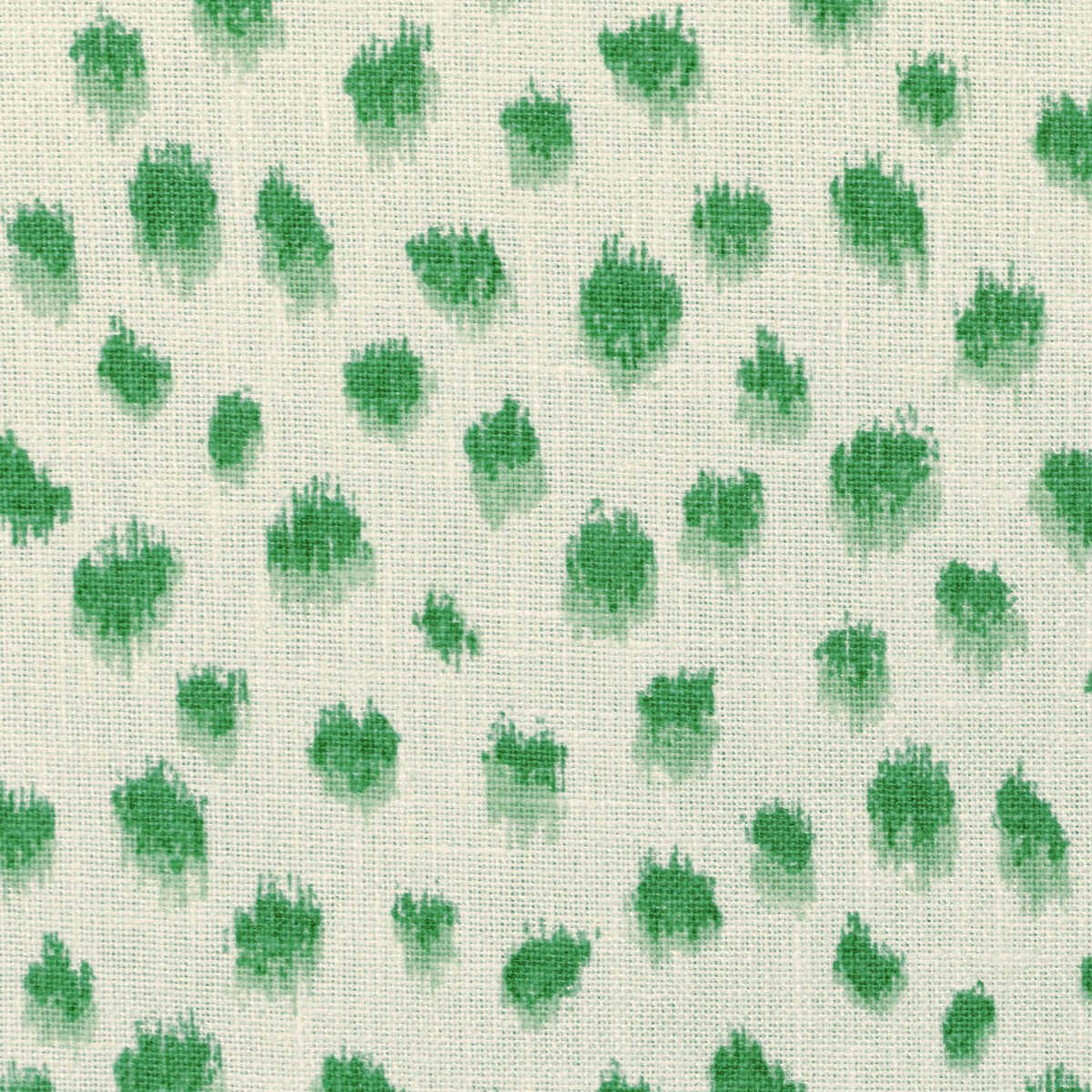 Kravet Basics - Jungleikat-3 - KRAVET BASICS Fabric