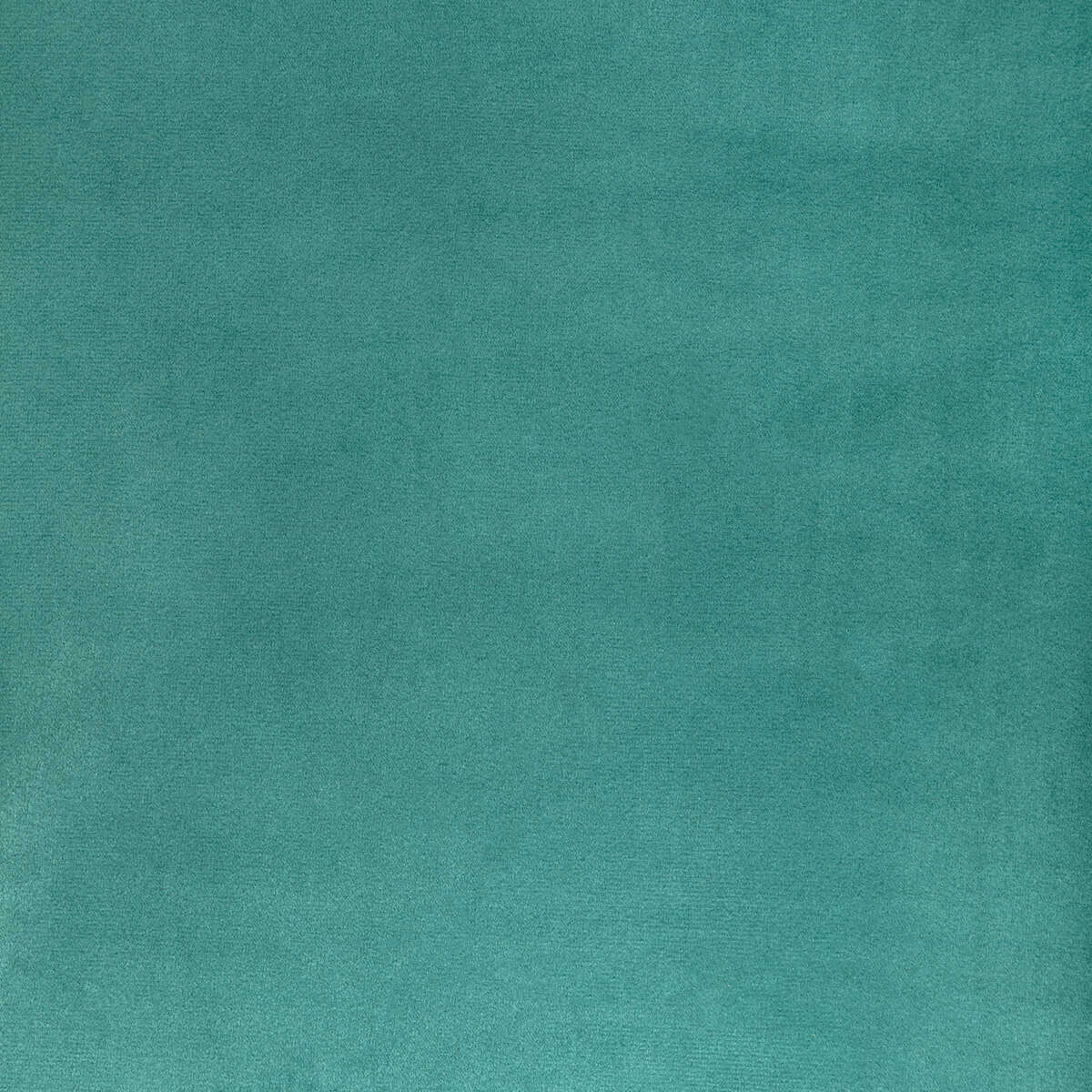 Rocco Contract - Pool - KRAVET CONTRACT Fabric