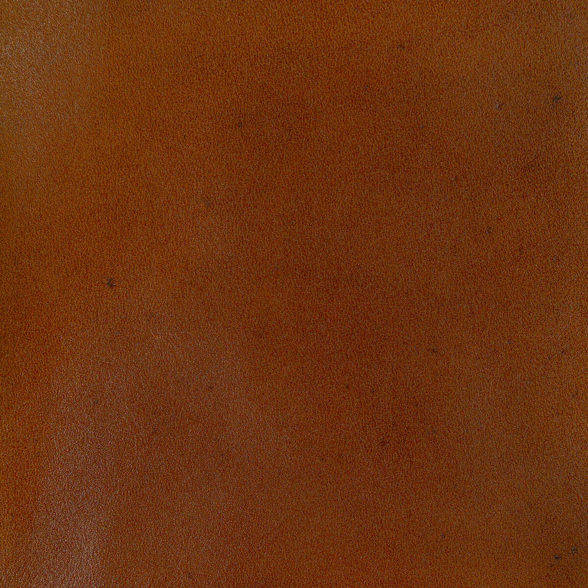 Kravet Design - L-Adobe-Ochre - KRAVET DESIGN Fabric