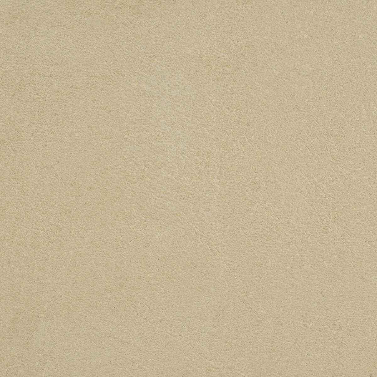 Larizonaputty0 L Arizona Putty Kravet Design Fabric - KRAVET DESIGN Fabric