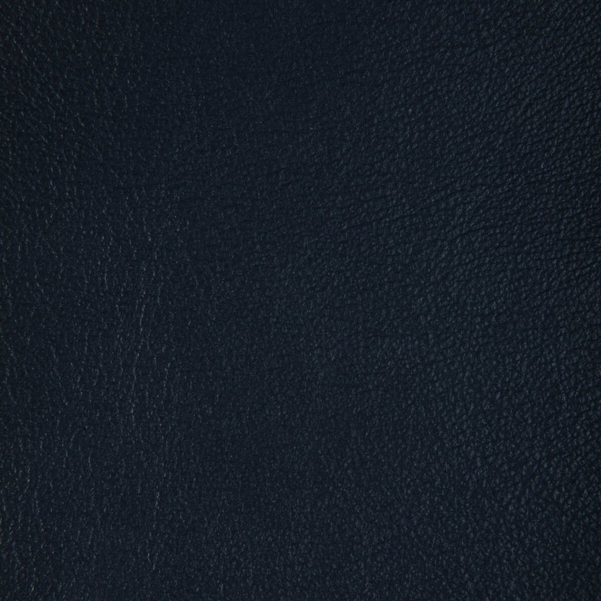 Kravet Design - L-Badger-Astro - KRAVET DESIGN Fabric