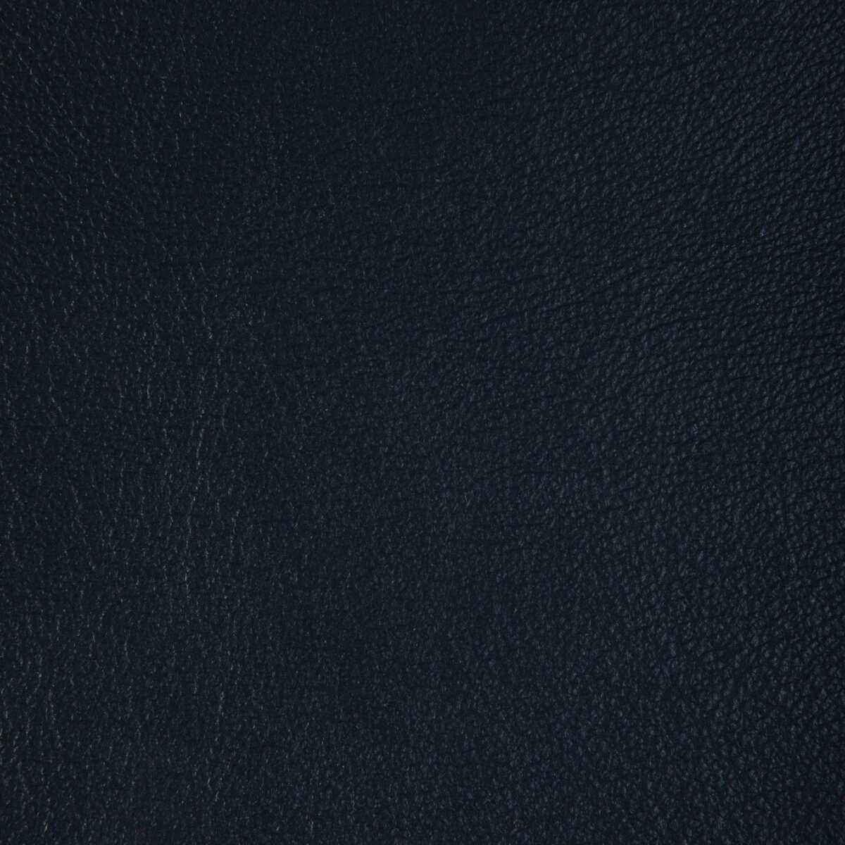 Lbadgerastro0 Kravet Design L Badger Astro Kravet Design Fabric - KRAVET DESIGN Fabric