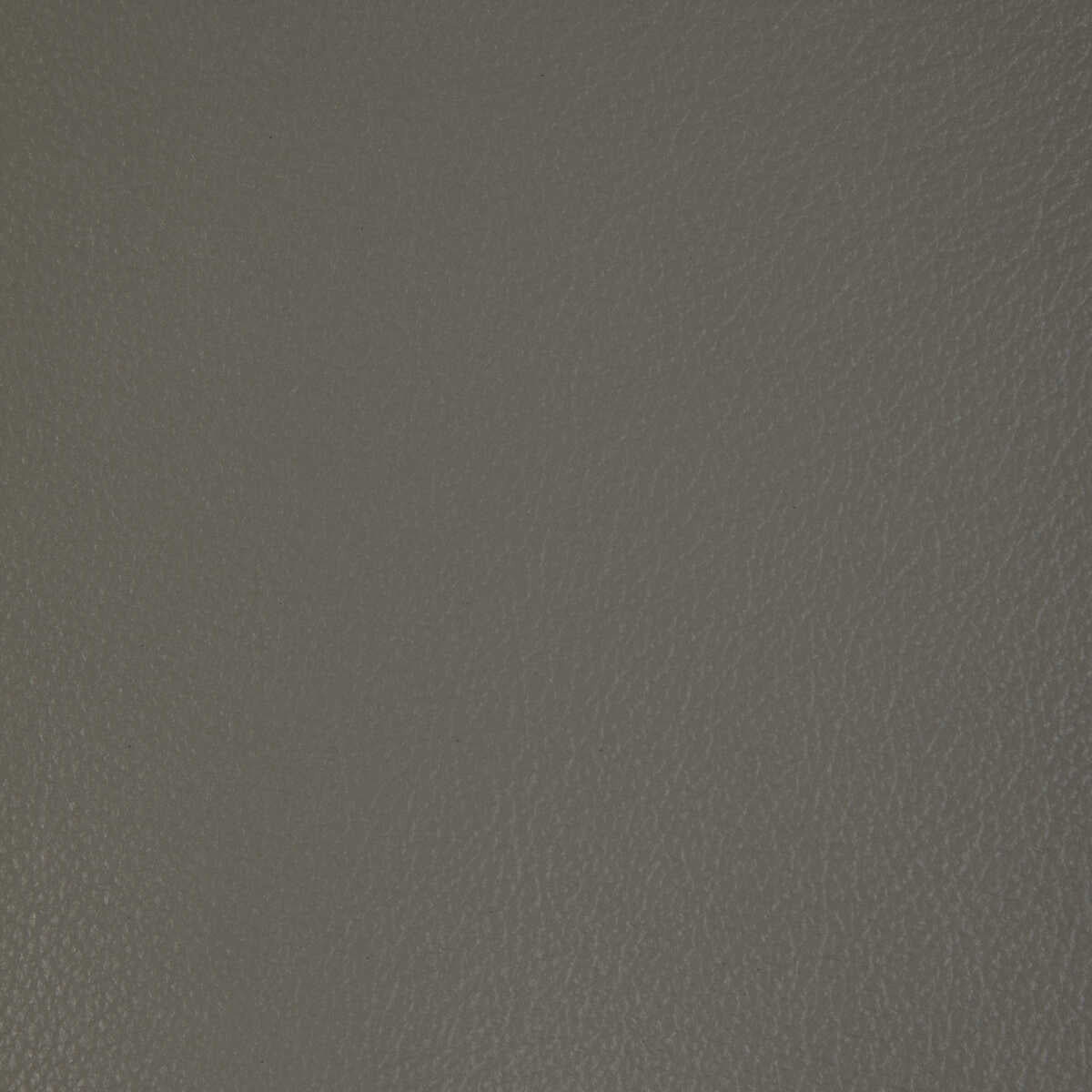 Kravet Design - L-Badger-Smoke - KRAVET DESIGN Fabric