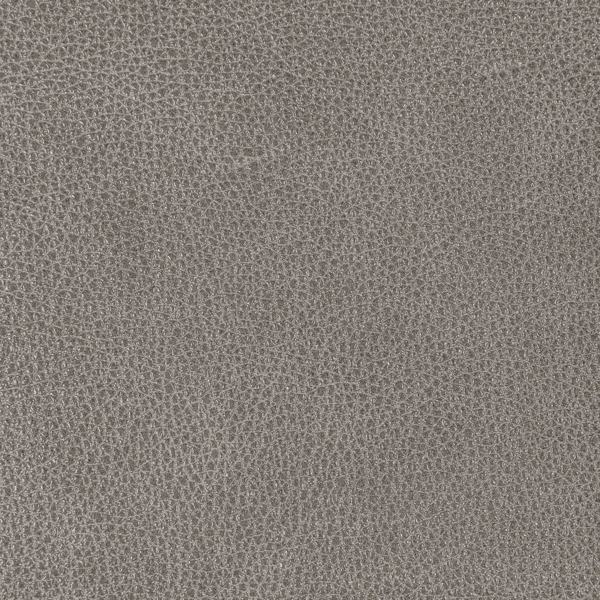 Kravet Design - L-Bison-Armor - KRAVET DESIGN Fabric