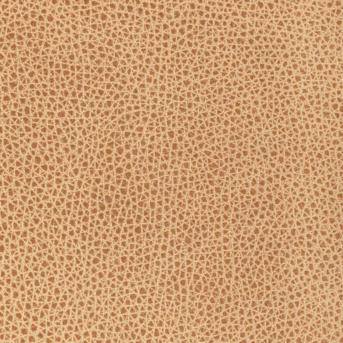 Lbisonbiscotti0 Kravet Design L Bison Biscotti Kravet Design Fabric