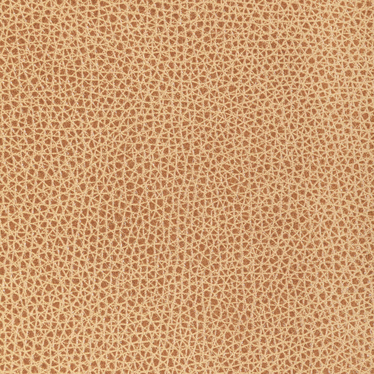 Kravet Design - L-Bison-Biscotti - KRAVET DESIGN Fabric