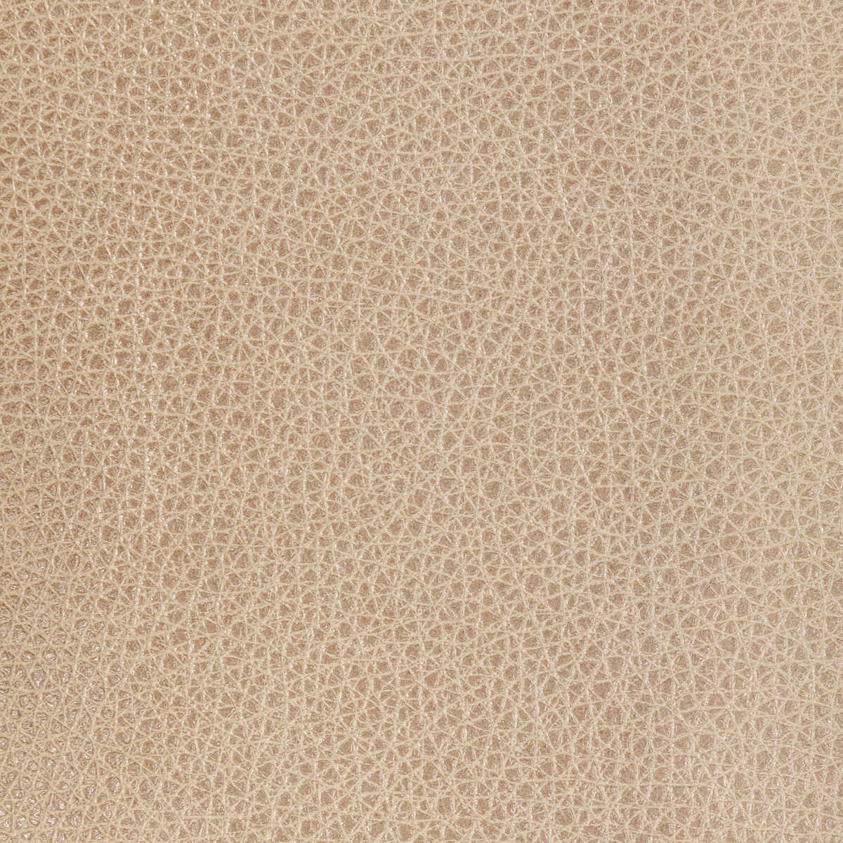 Kravet Design - L-Bison-Oat - KRAVET DESIGN Fabric