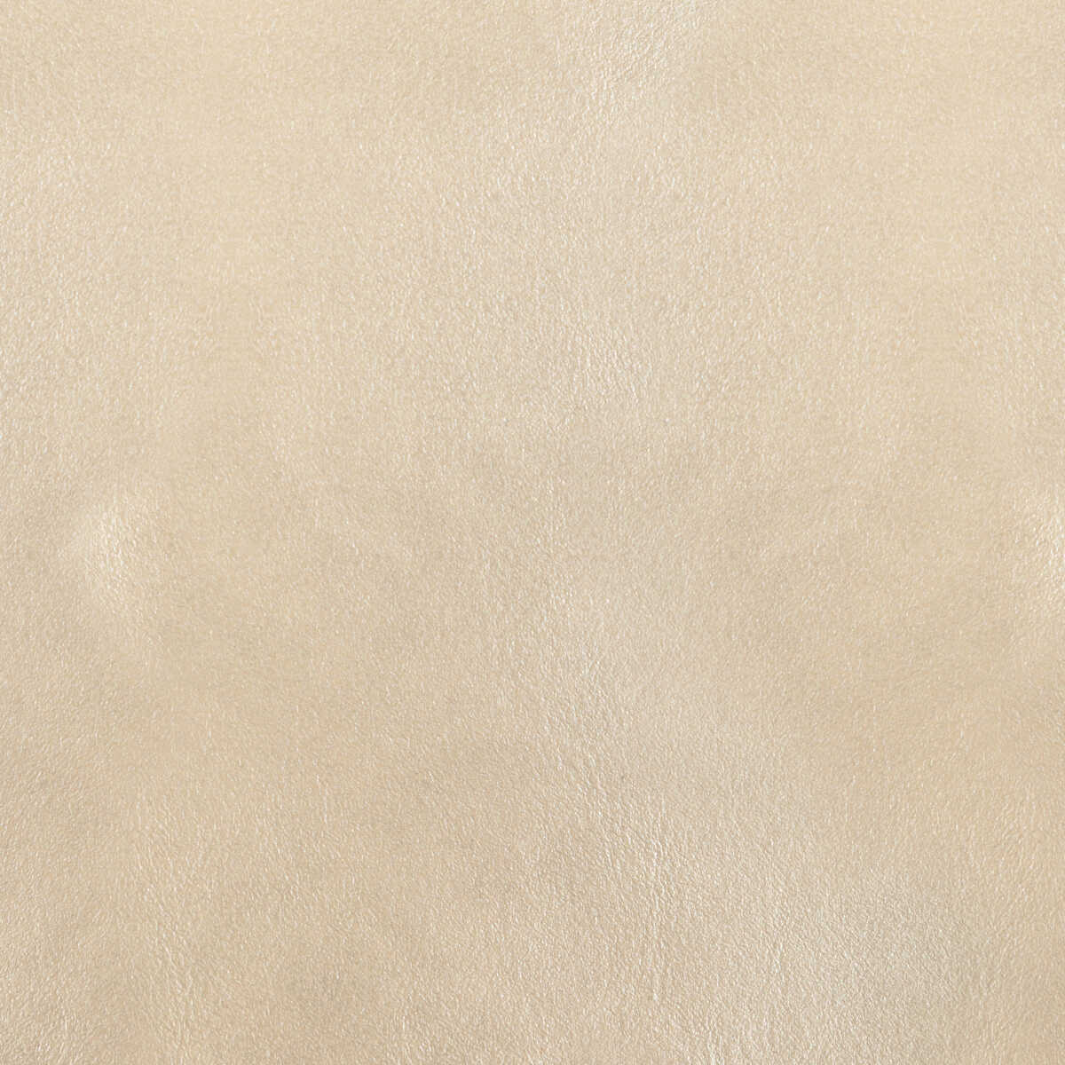 Kravet Design - L-Bota-Alabaster - KRAVET DESIGN Fabric