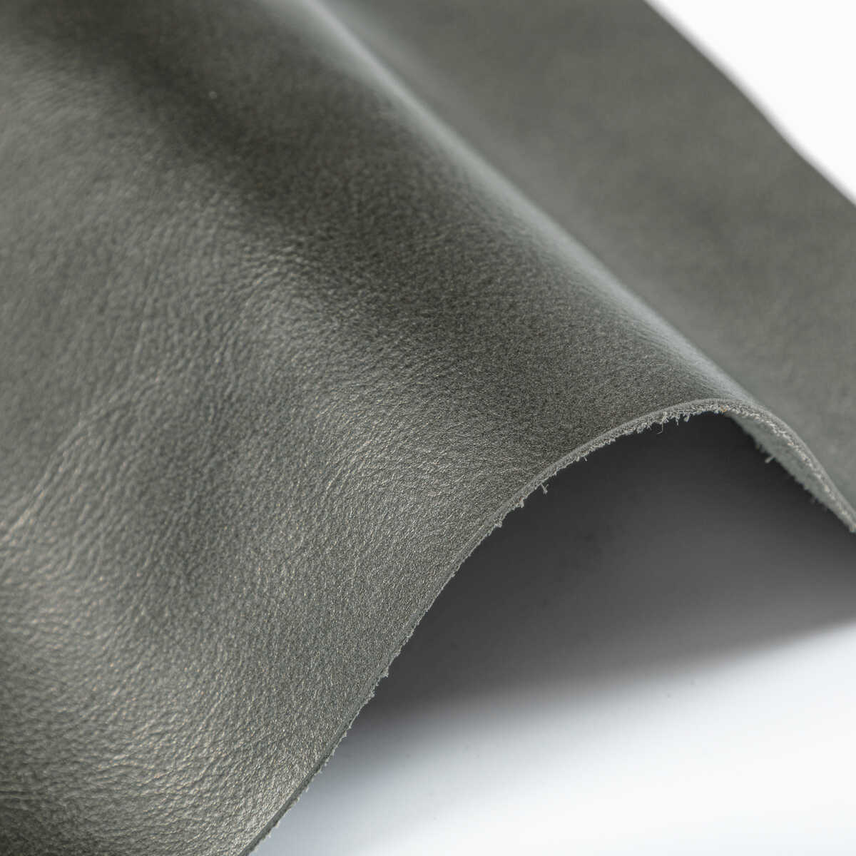 Kravet Design - L-Bota-Coin - KRAVET DESIGN Fabric