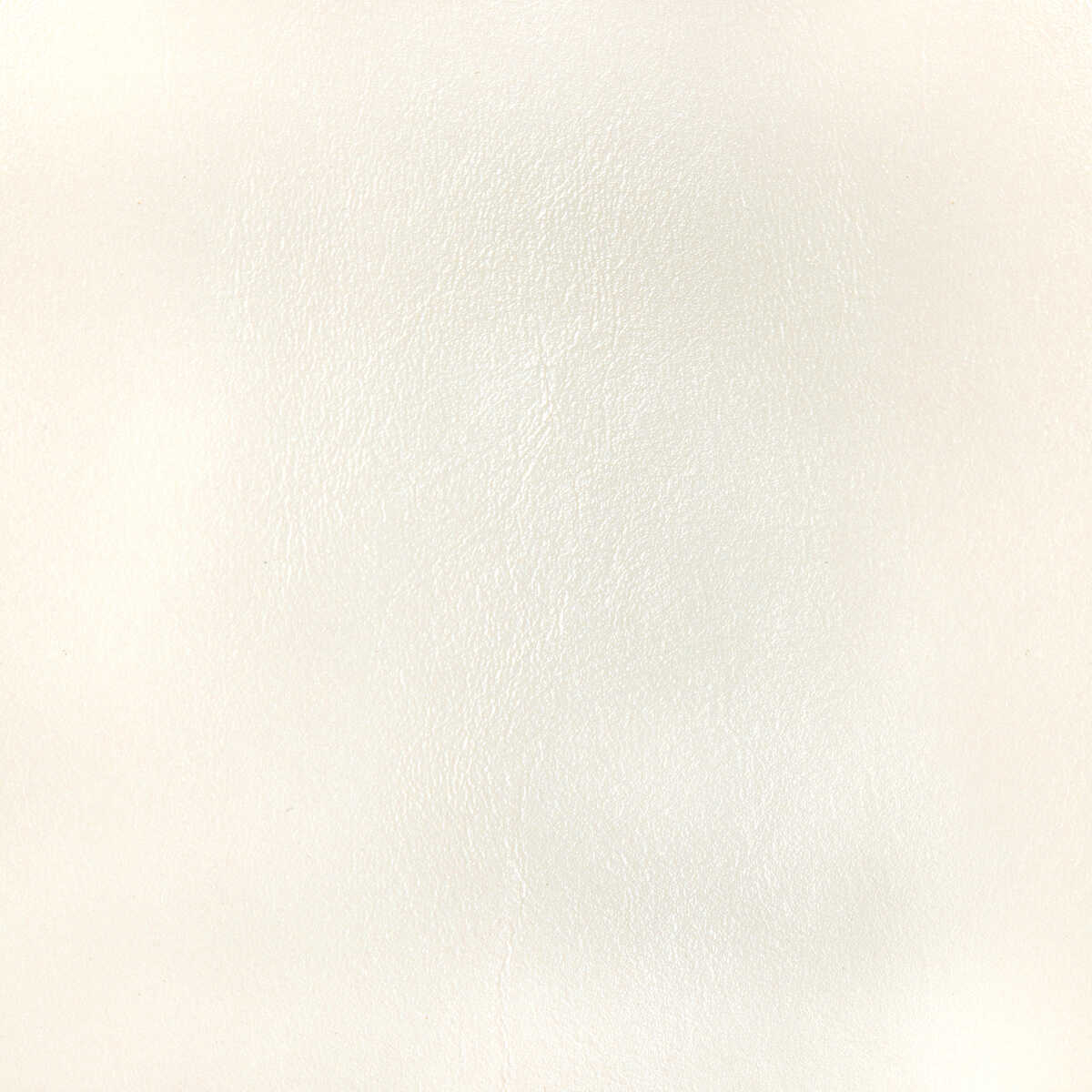 Kravet Design - L-Bota-Ivory - KRAVET DESIGN Fabric