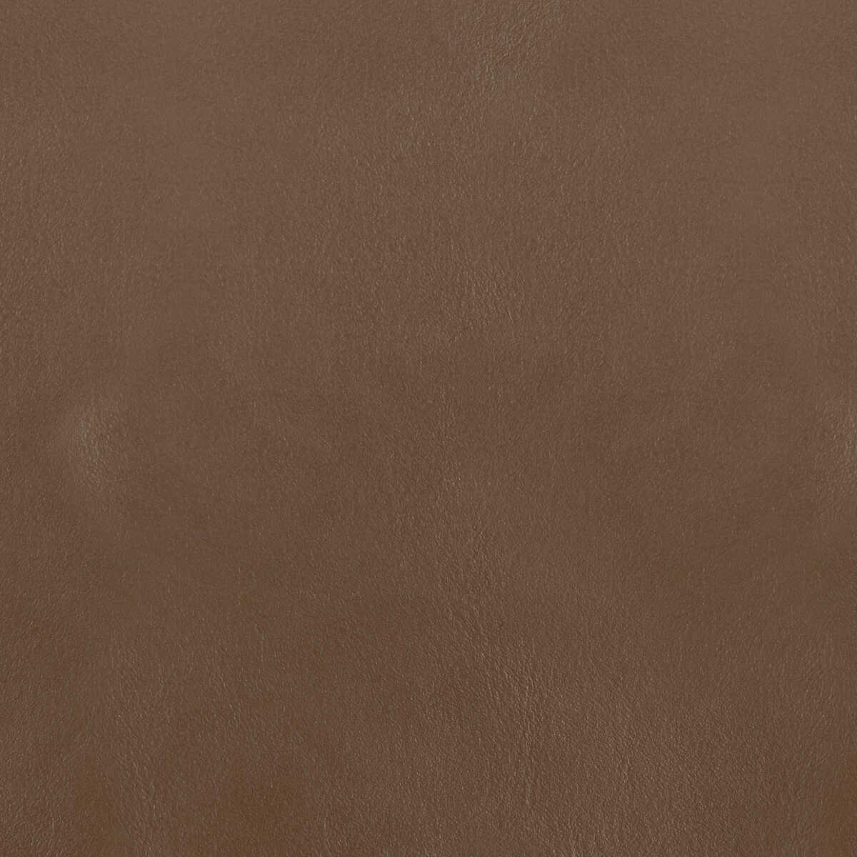 Kravet Design - L-Bota-Jewel - KRAVET DESIGN Fabric
