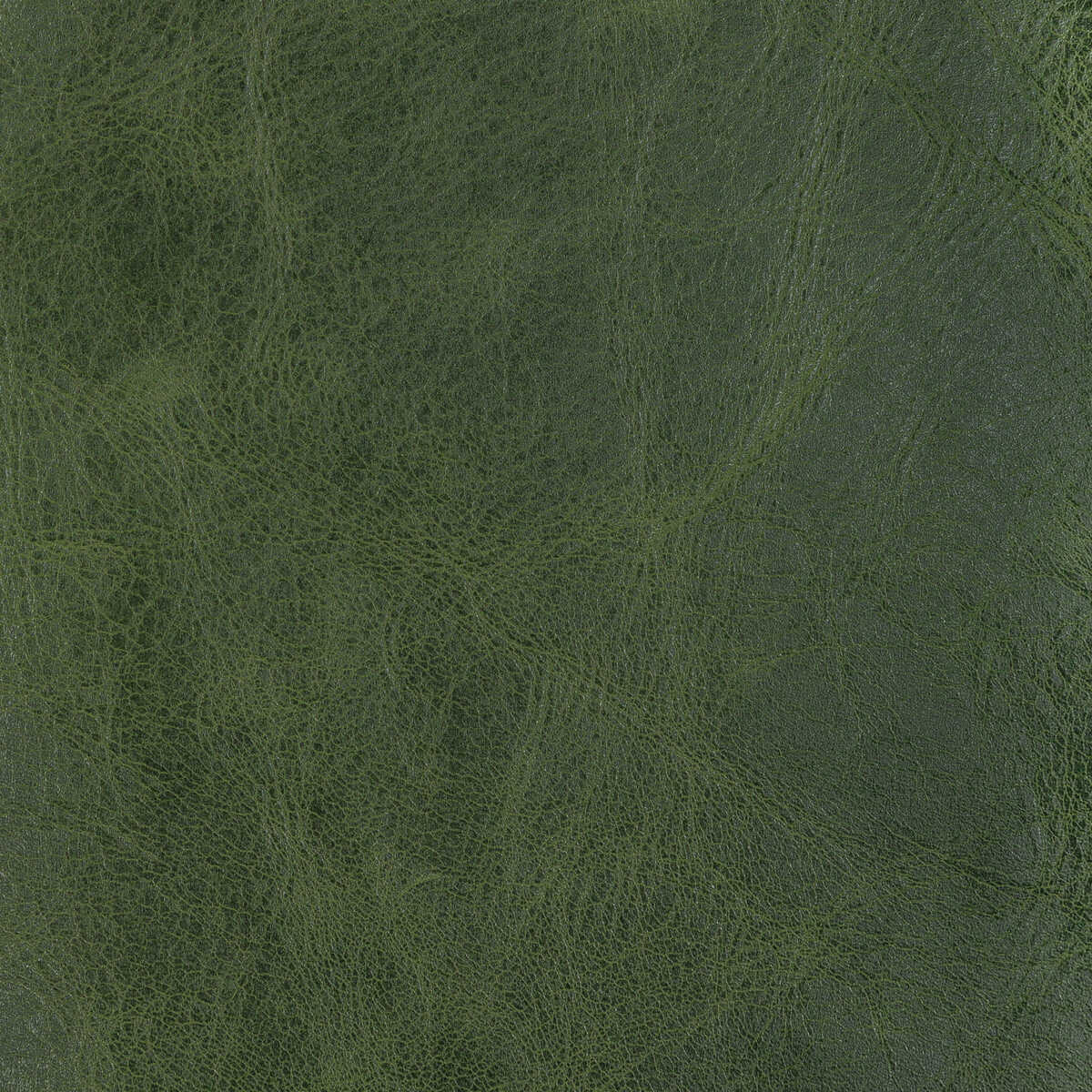 L-Brantley - Evergreen - KRAVET DESIGN Fabric