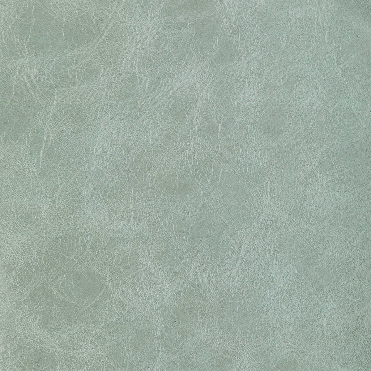 L-Brantley - Sage - KRAVET DESIGN Fabric