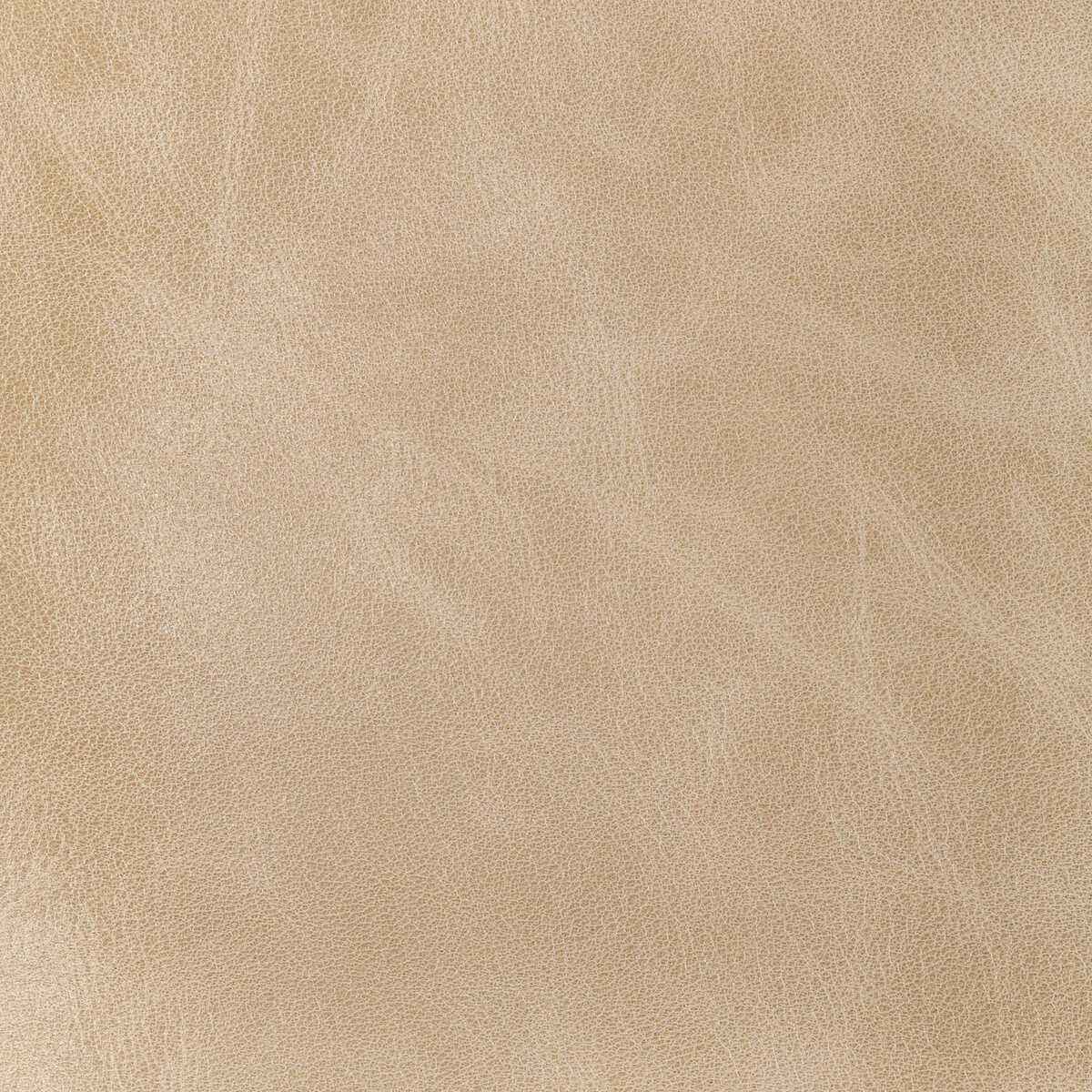 Lbrantleysand0 L Brantley Sand Kravet Design Fabric