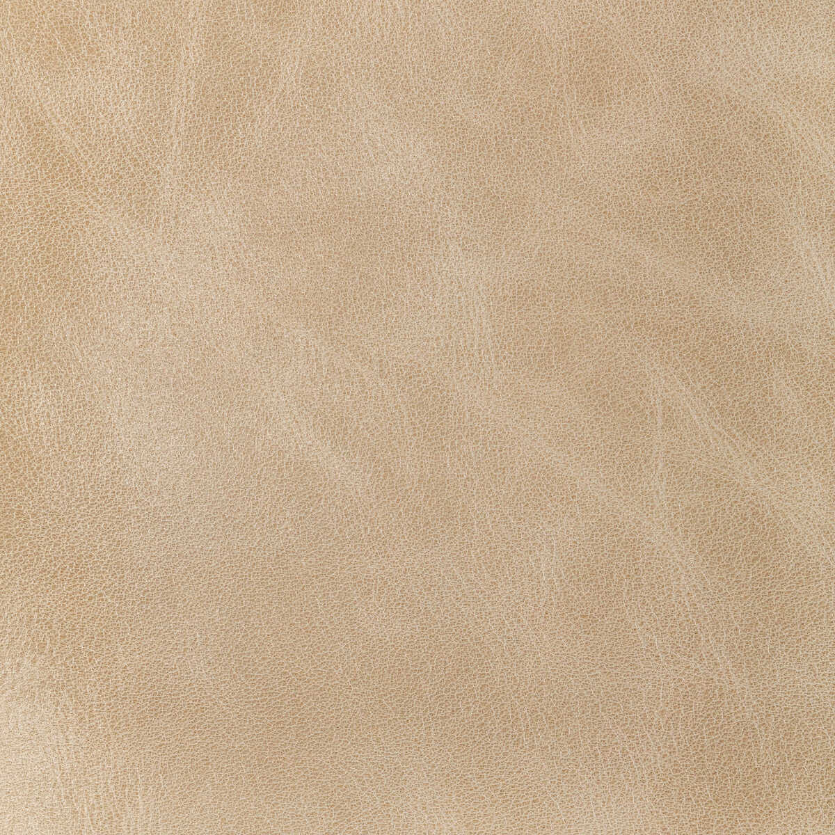 L-Brantley - Sand - KRAVET DESIGN Fabric
